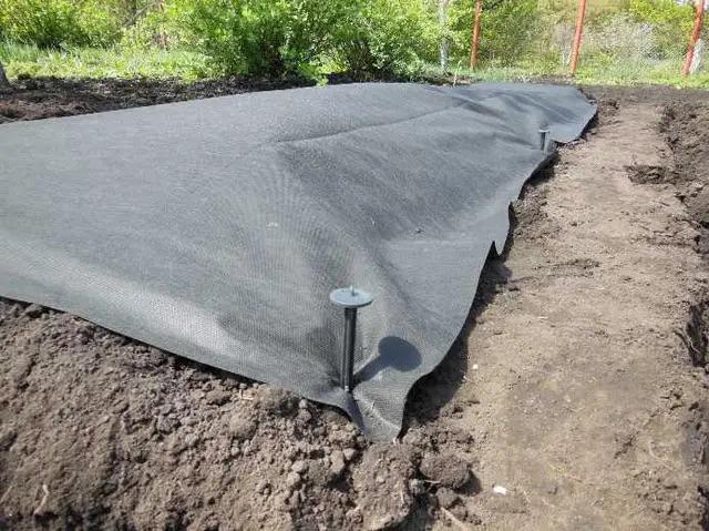 Агроволокно Greentex Р100 3,2x10 м Черный (25247202) - фото 3 Агроволокно Greentex Р100 3,2x10 м Черный (25247202) - фото 3