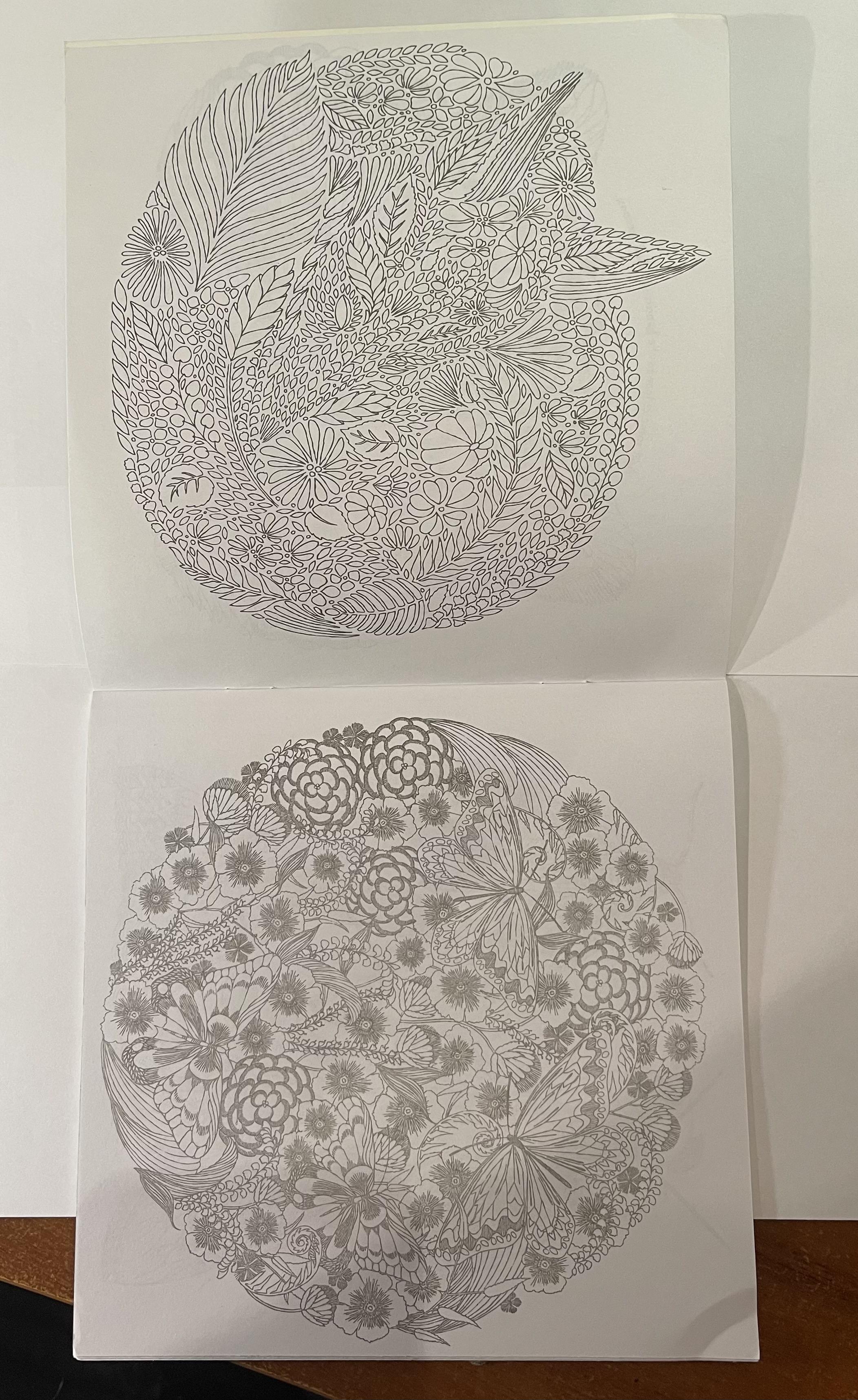 Скетчбук для малювання "Secret Garden" 12 сторінок - фото 2 Скетчбук для малювання "Secret Garden" 12 сторінок - фото 2