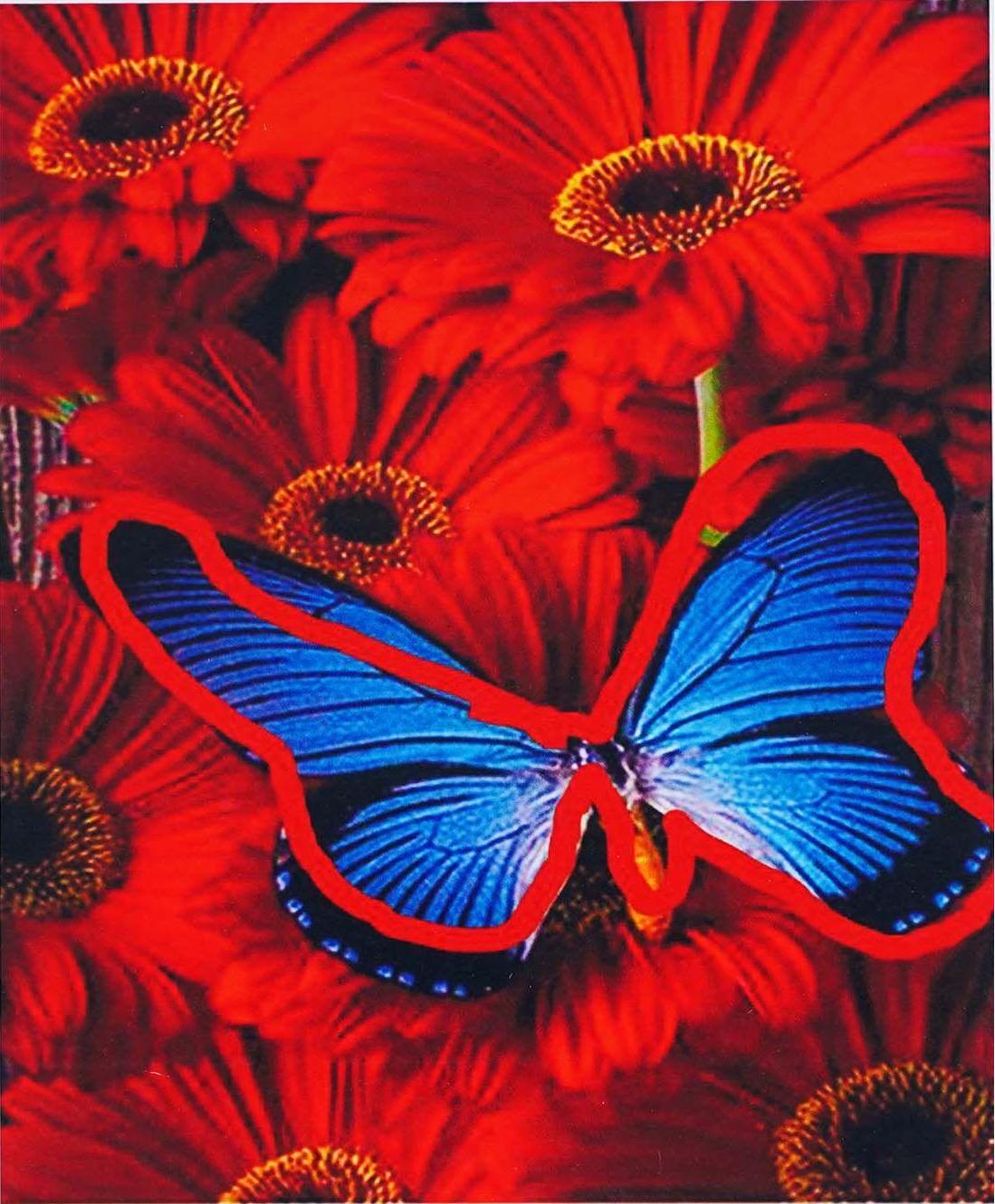 Алмазна мозаїка-картина за номерами TK Group B 78640/30 Метелик в коробці 40х50 см (24711011)