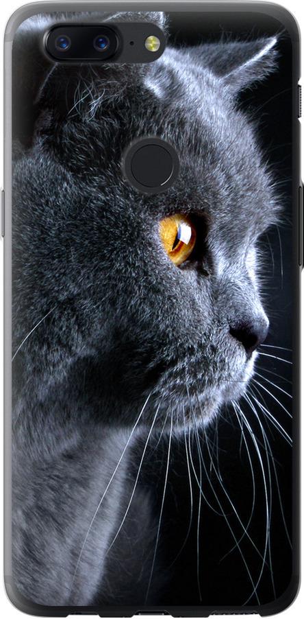 Чехол на OnePlus 5T Красивый кот (3038u-1352-42517)