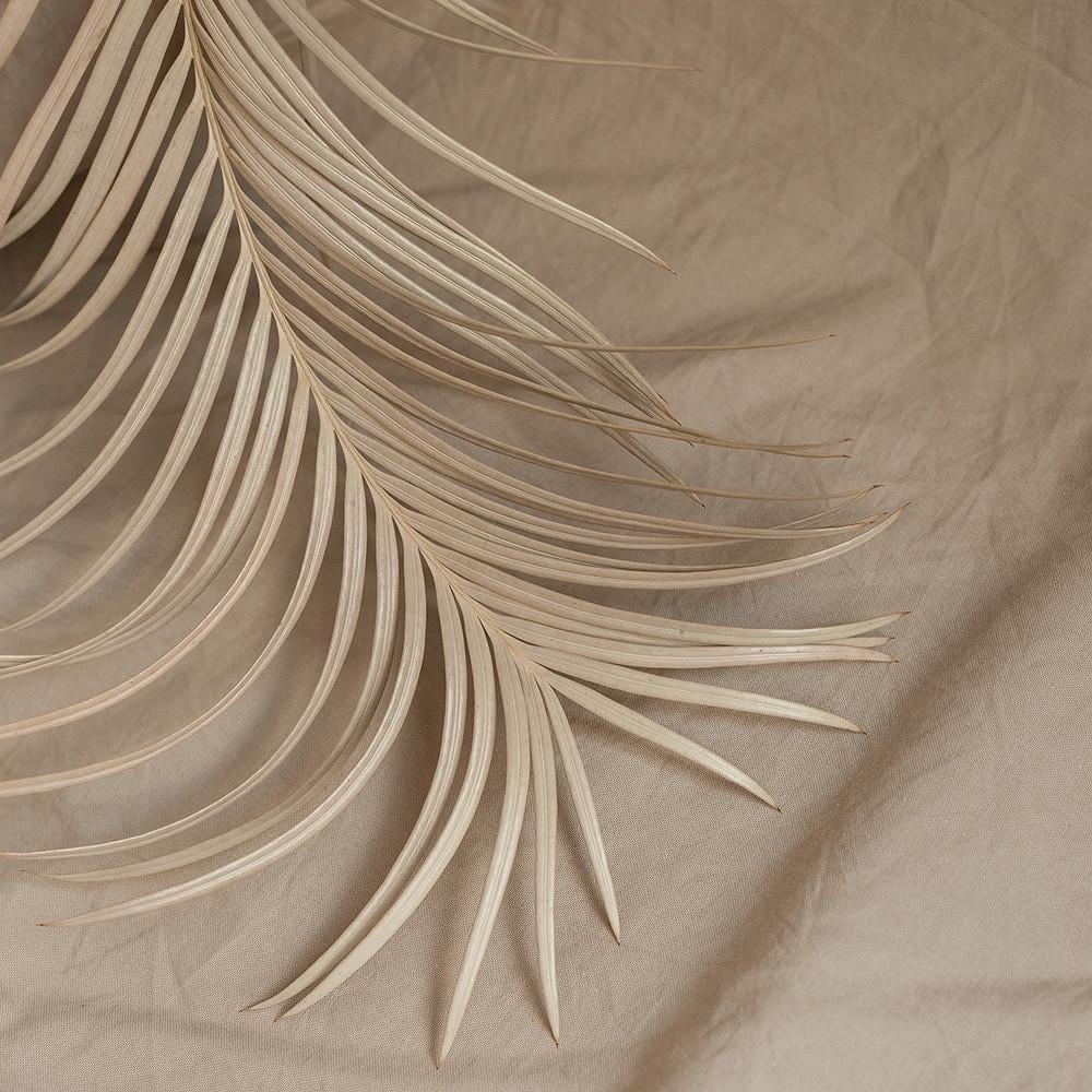 Фотофон виниловый Frontlit 120x120 см 450 г/м2 №55675