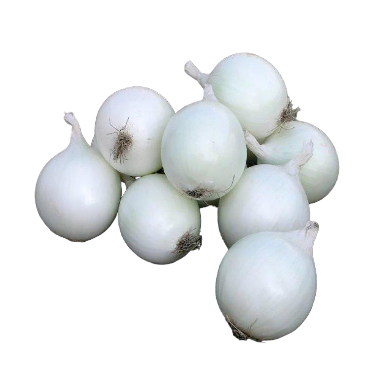 Семена лука белого Nunhems Комета F1 1 г (39332) Семена лука белого Nunhems Комета F1 1 г (39332)