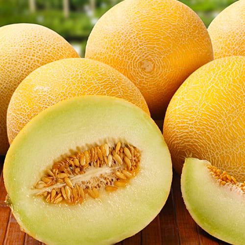 Семена Диня Florium Примал F1 (6262)
