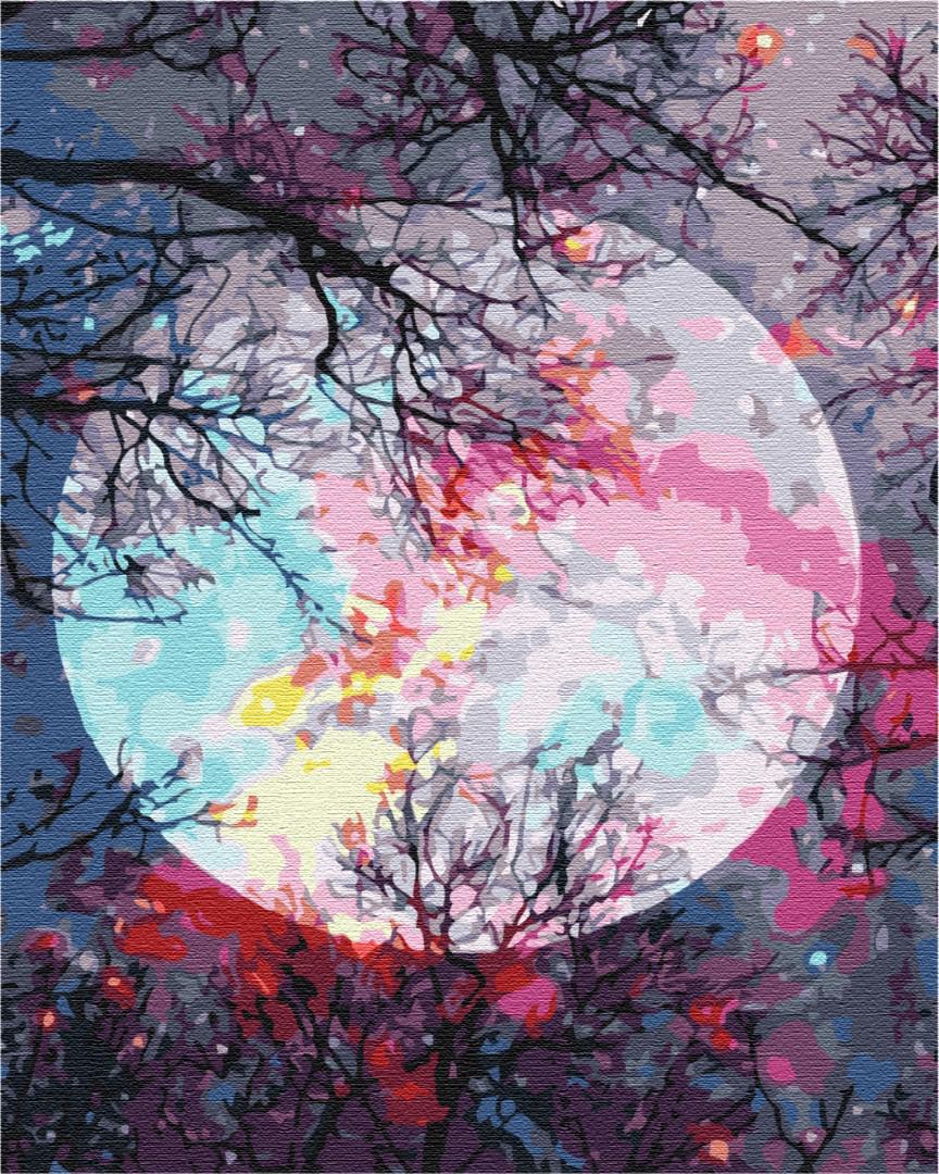 Картина по номерам Brushme С видом на луну 48x60 см (BS51423L)