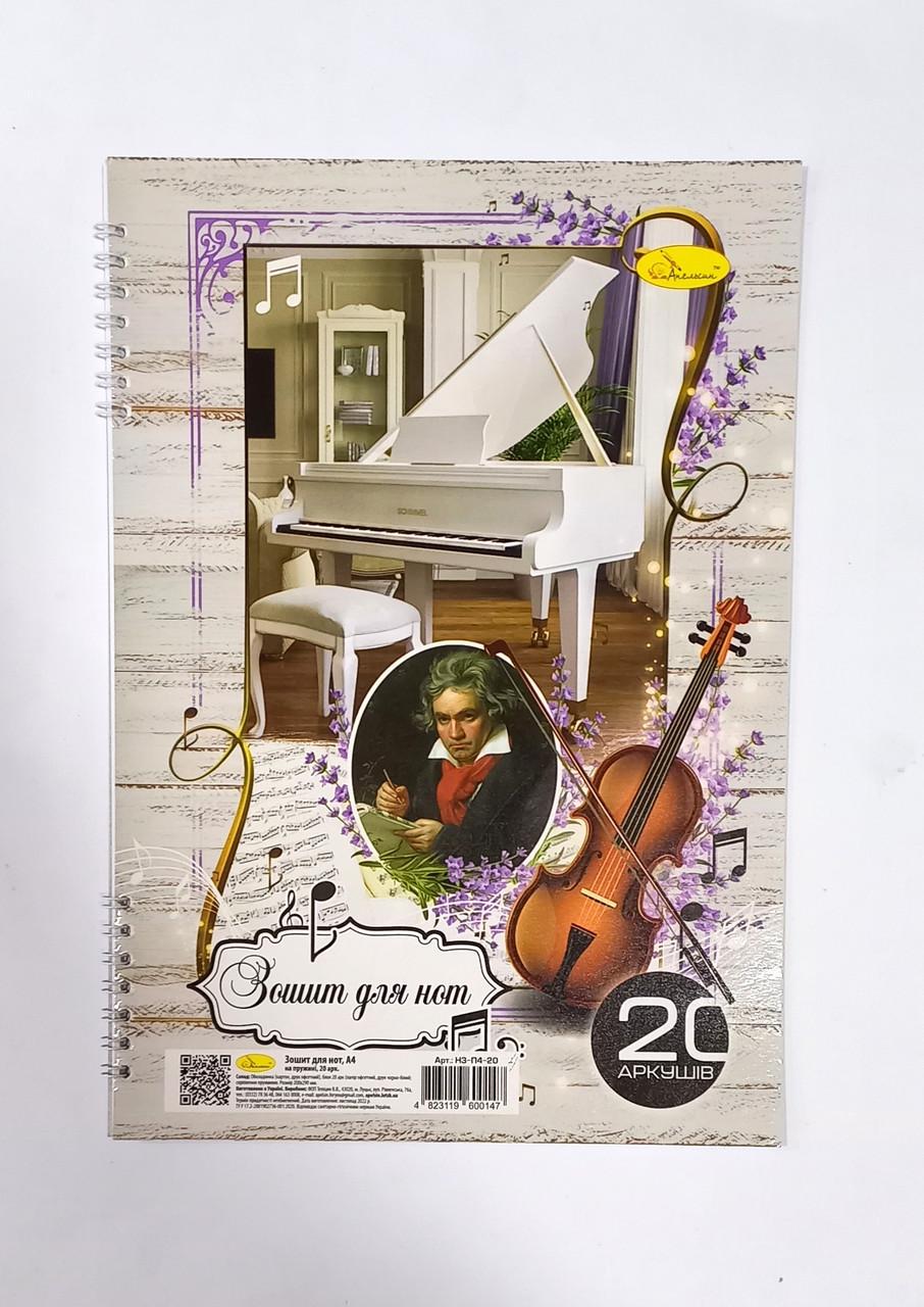 Тетрадь для нот Апельсин MUSIC НЗ-П4-20 CLASSIC пружина Вид 4 А4 20 листов