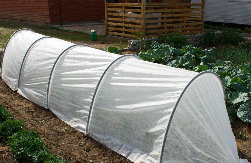 Парник 50 г/м2 6 м 1,2х0,8 м