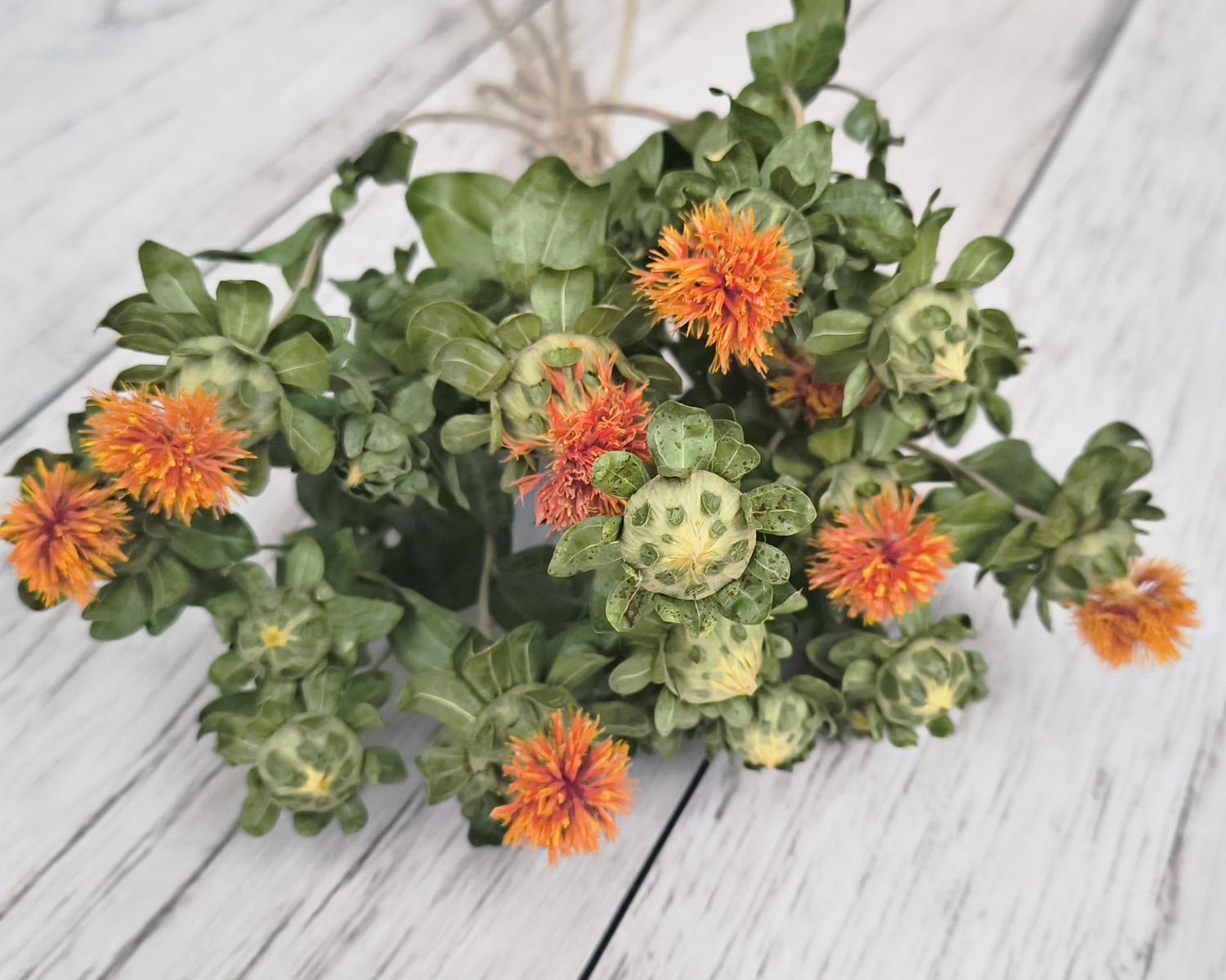 Сухоцвет сафлор 6-7 веток