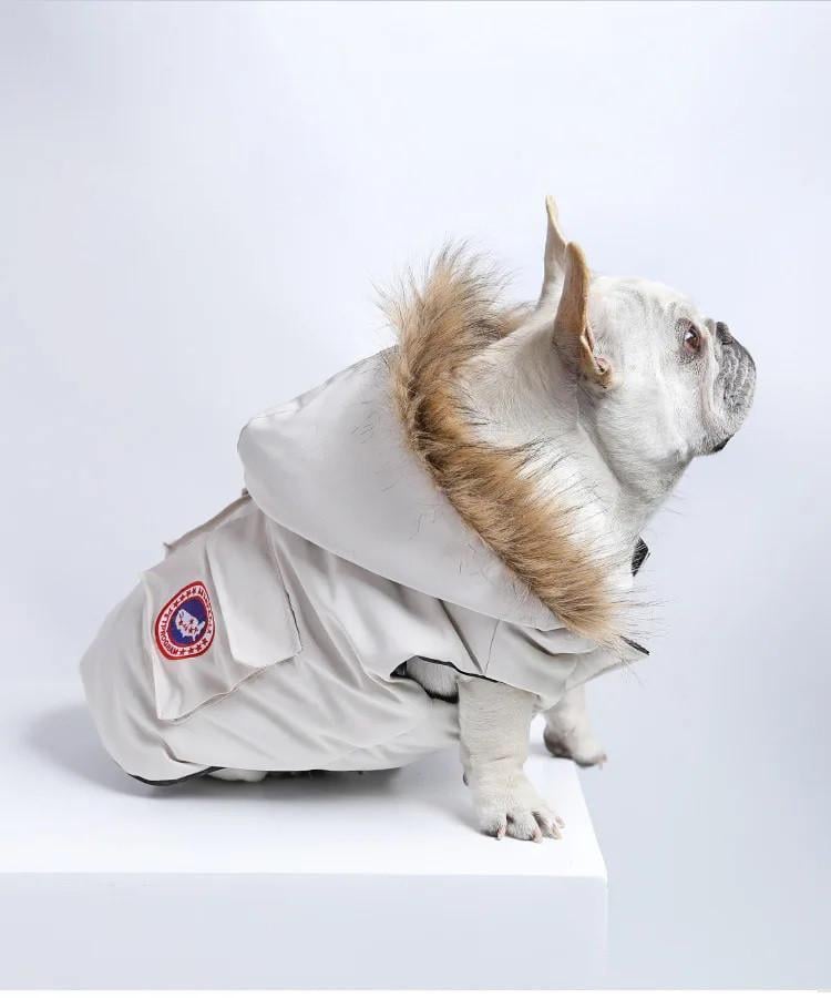 Куртка зимова водонепроникна для собак Chill Winter з капюшоном XL (2030649894) - фото 3 Куртка зимова водонепроникна для собак Chill Winter з капюшоном XL (2030649894) - фото 3