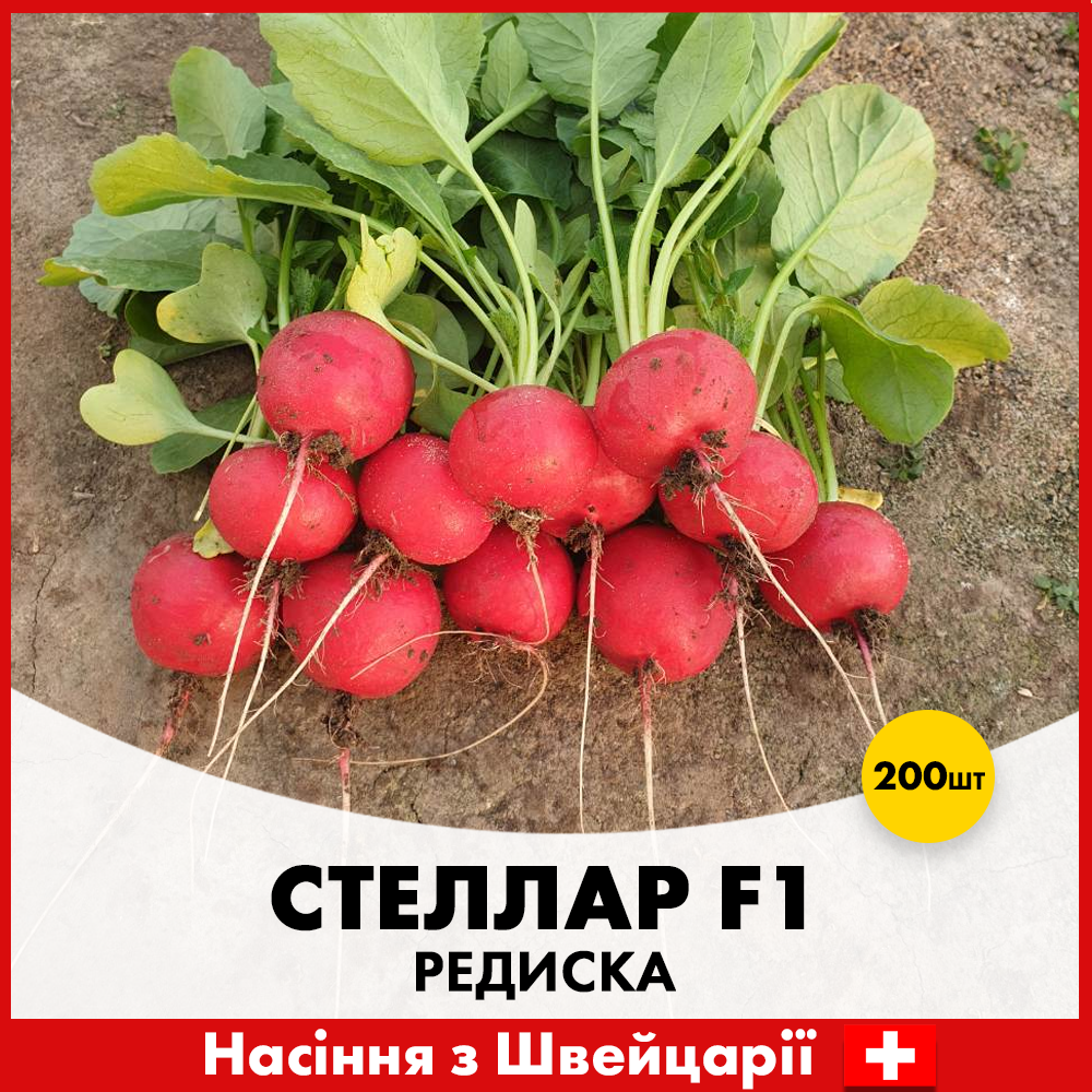 Семена редиса Syngenta Стеллар F1 200 шт. (R50212)