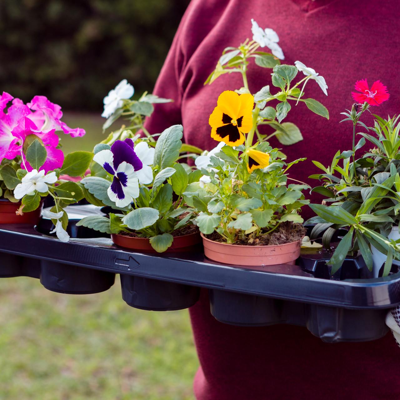 Субстрат Biovita универсальный 10 л (A-026047) - фото 3 Субстрат Biovita универсальный 10 л (A-026047) - фото 3