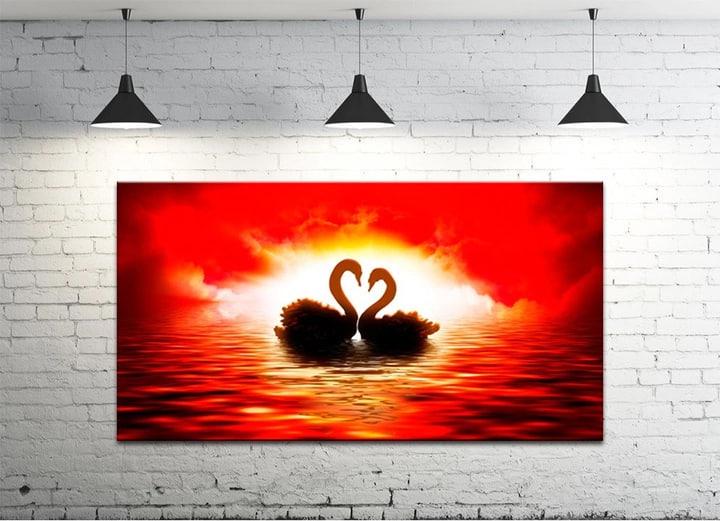 Картина на холсте DK Влюбленные лебеди 50х100 см (DKP50100-z4)