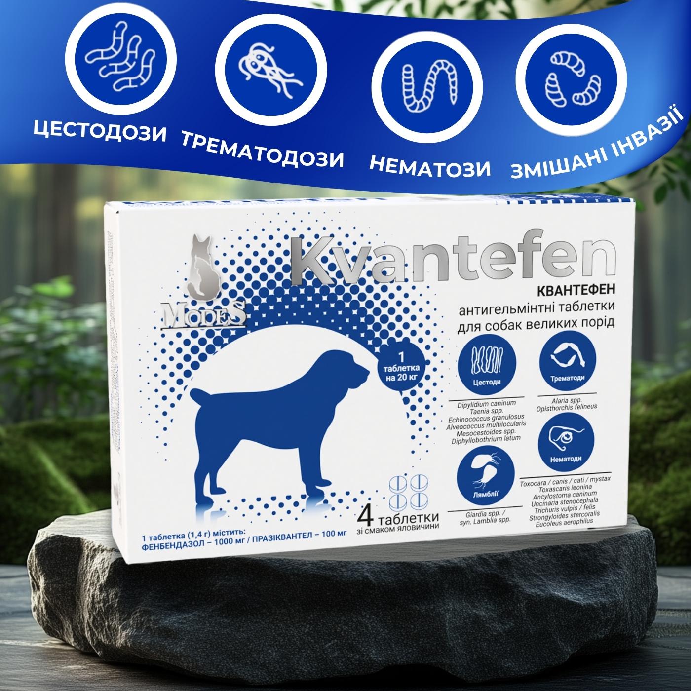 Таблетки антигельмінтні Kvantefen для собак великих порід 1 таб на 20 кг 4 табл. (27850212) - фото 5 Таблетки антигельмінтні Kvantefen для собак великих порід 1 таб на 20 кг 4 табл. (27850212) - фото 5