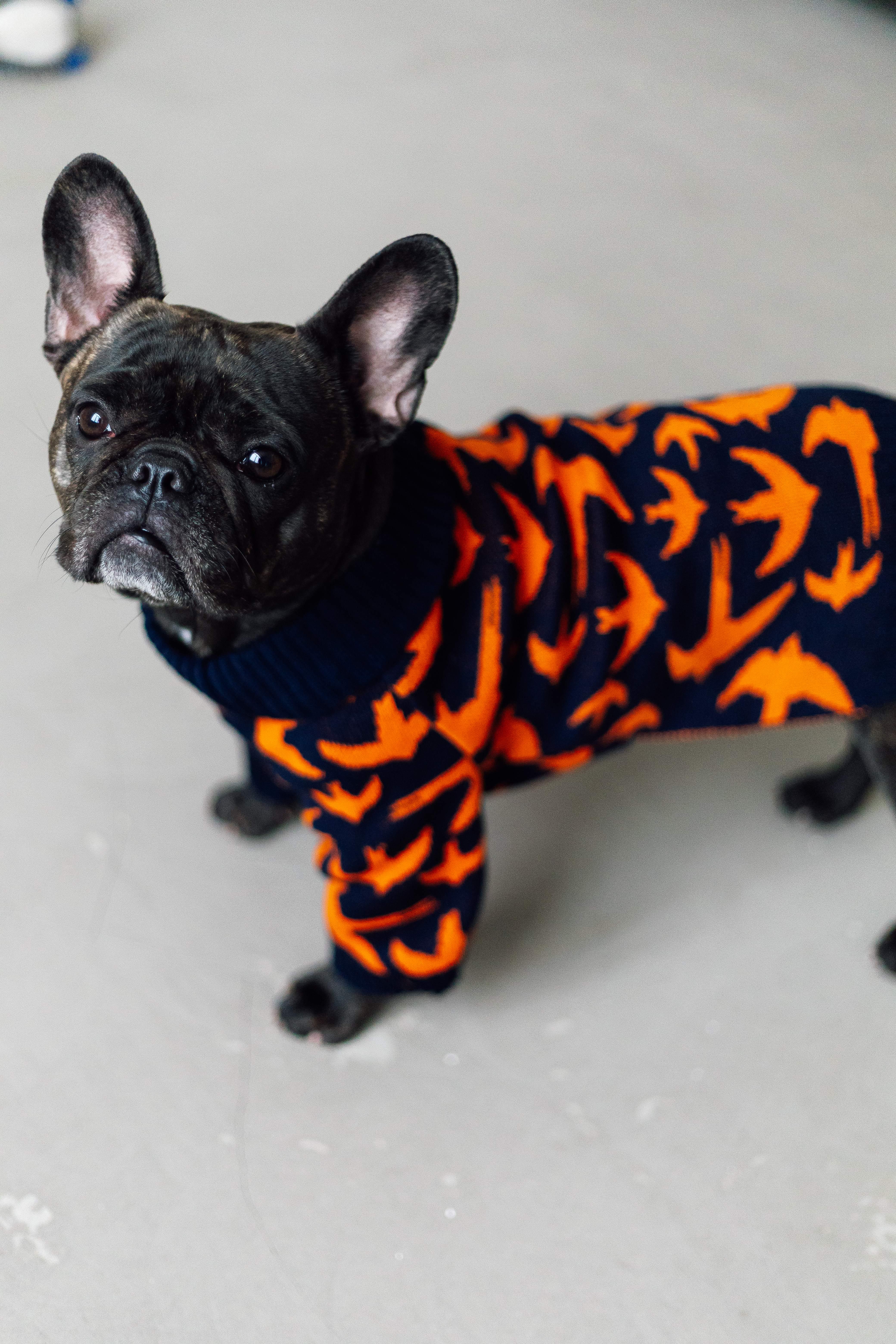 Свитер для собак Dogs Bomba Y-331 Птички вязаный р. 1 Синий (15126784)