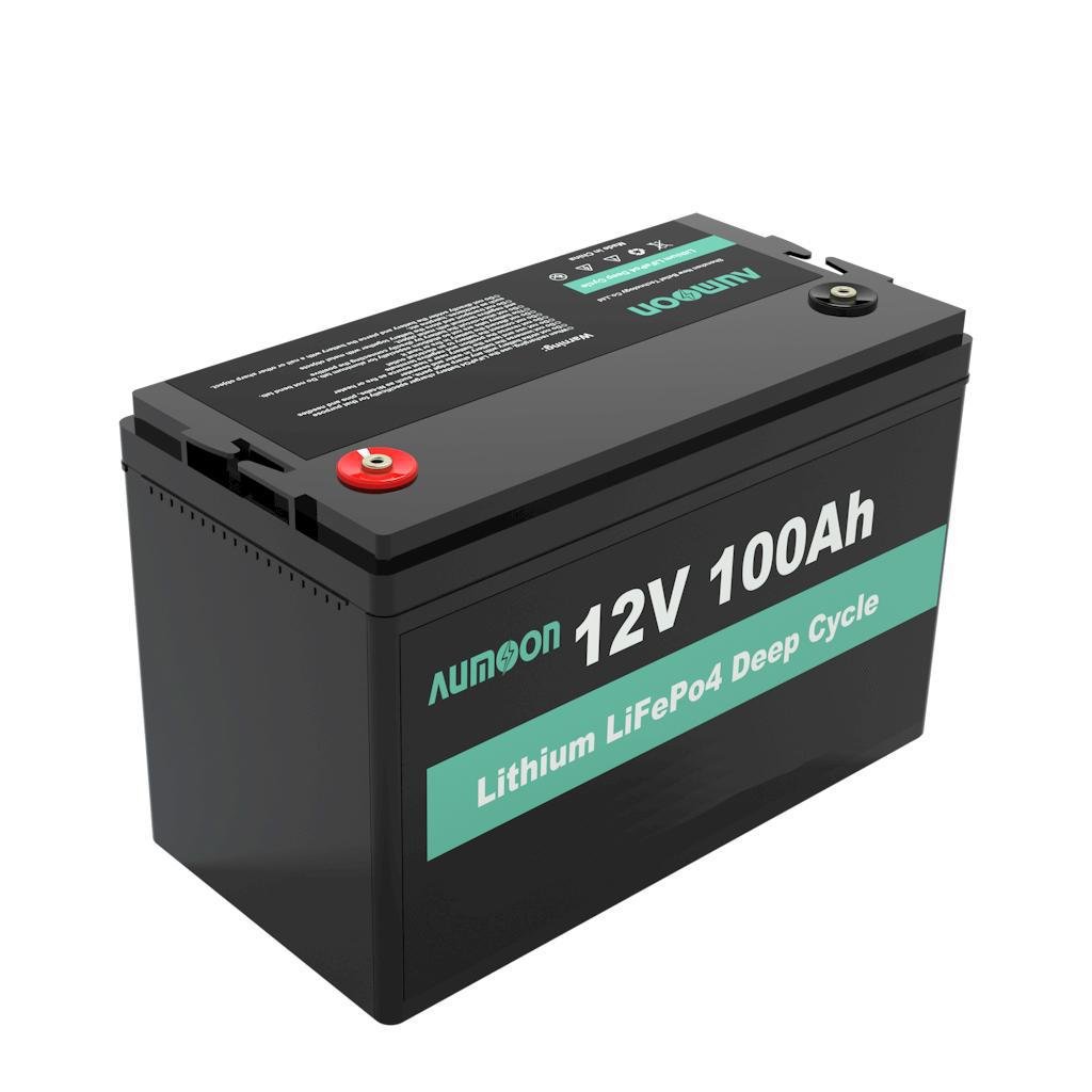 Акумулятор ENERSUN LiFePo4 12V 100AH із вбудованим BMS (1306) - фото 2