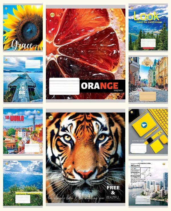 Зошити учнівські Тетрада ТЕ41604 Мікс 4 60 арк. 10 шт. в уп. (MTT-183991) Зошити учнівські Тетрада ТЕ41604 Мікс 4 60 арк. 10 шт. в уп. (MTT-183991)