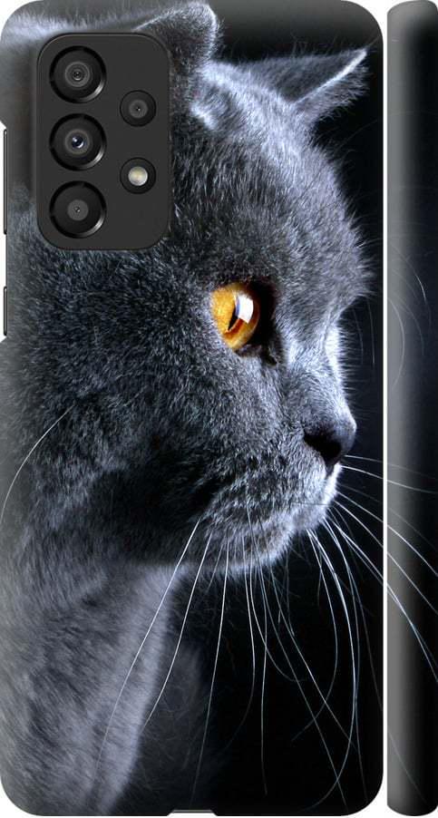 Чехол на Samsung Galaxy A33 5G A336B Красивый кот (3038m-2584-42517)