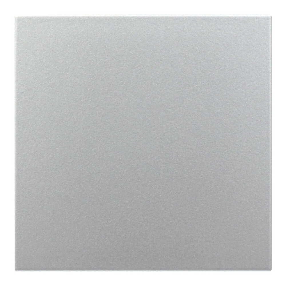 Заглушка Zenit 2CLA220000N1301 Серебряный (00000026604)