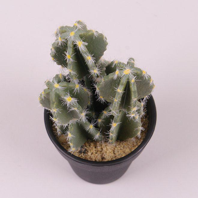 ᐉ Искуcственный Кактус Flora в горшочке 19 см (24685) • Купить в Киеве ...