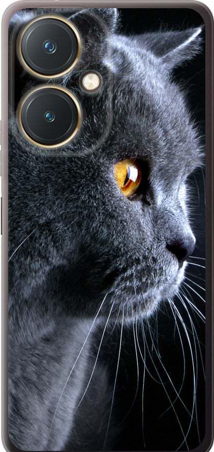 Чехол на Vivo Y27 Красивый кот (3038u-579-42517)