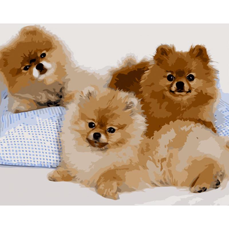 Картина по номерам Strateg Премиум Три шпица 40х50 см (GS1131)