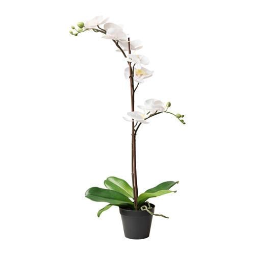 Искусственные растения и цветы ИКЕА (61 товар)