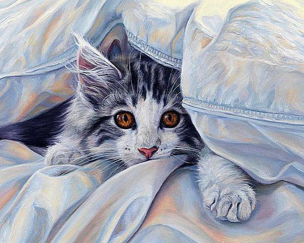 Алмазная мозаика Кошка под одеялом 50x40 см (DM.143)