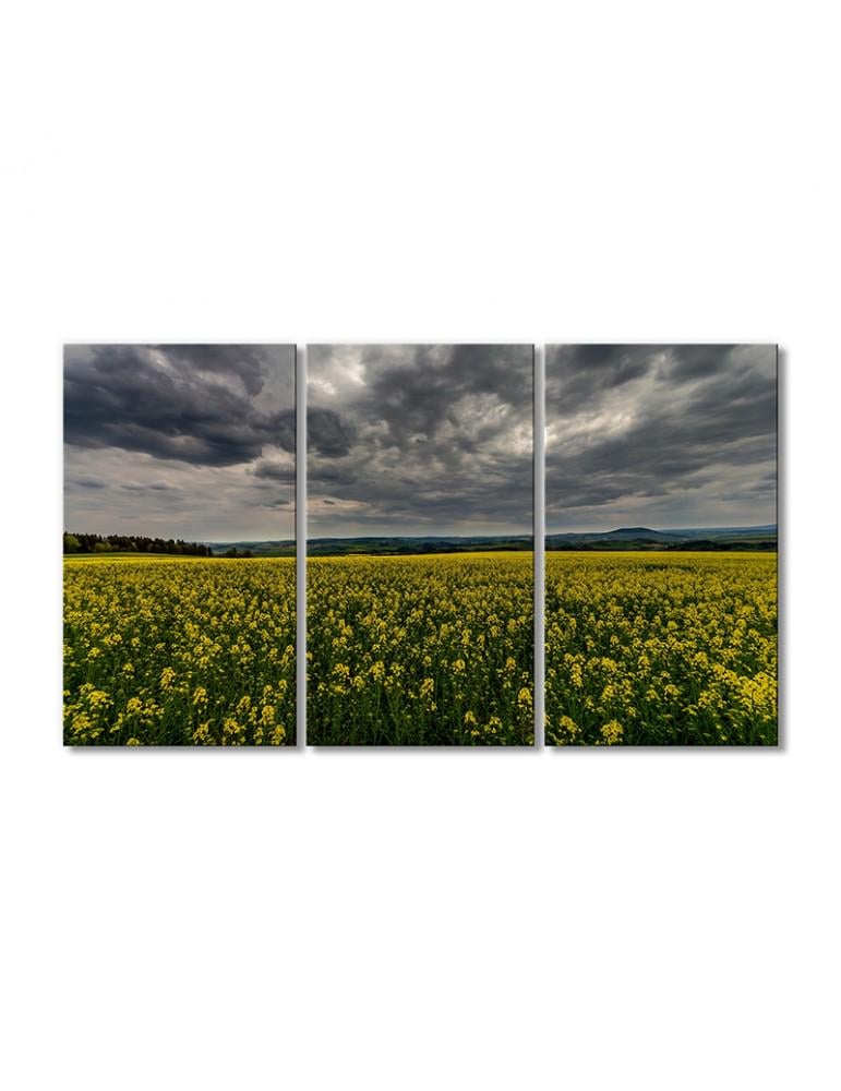 Картина модульная Пасмурное небо над цветочным полем 3 модуля 70x105 см