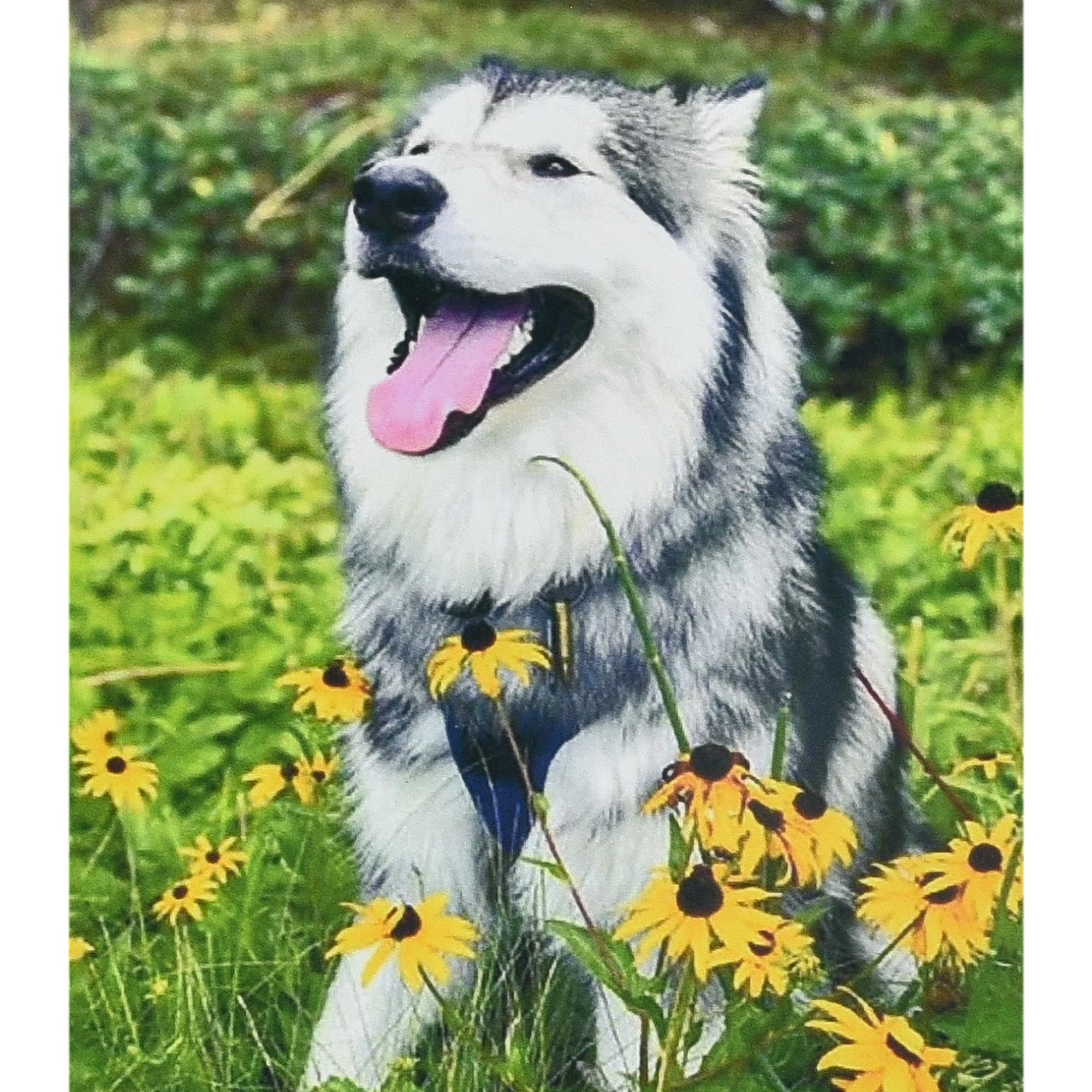 Набір для творчості алмазна картина Strateg Мить щастя HEG88137 30x40 см (MTT-192917)