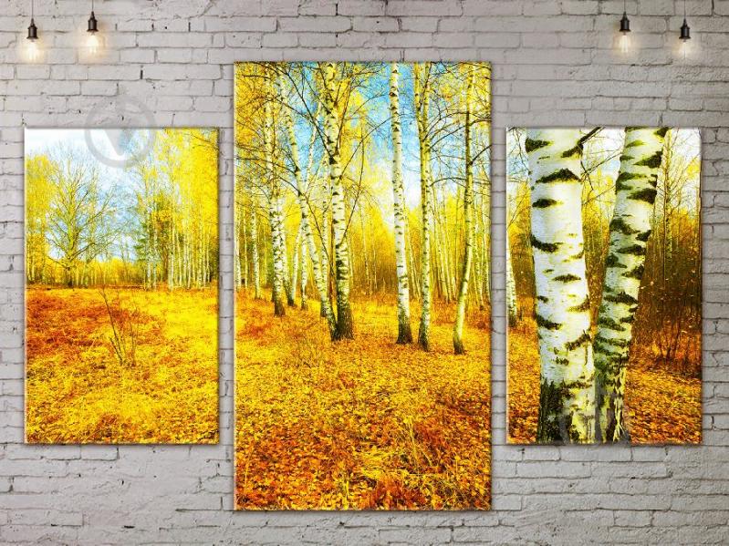 Модульная картина ArtStar ADNA0066 размер 70 х 105 см