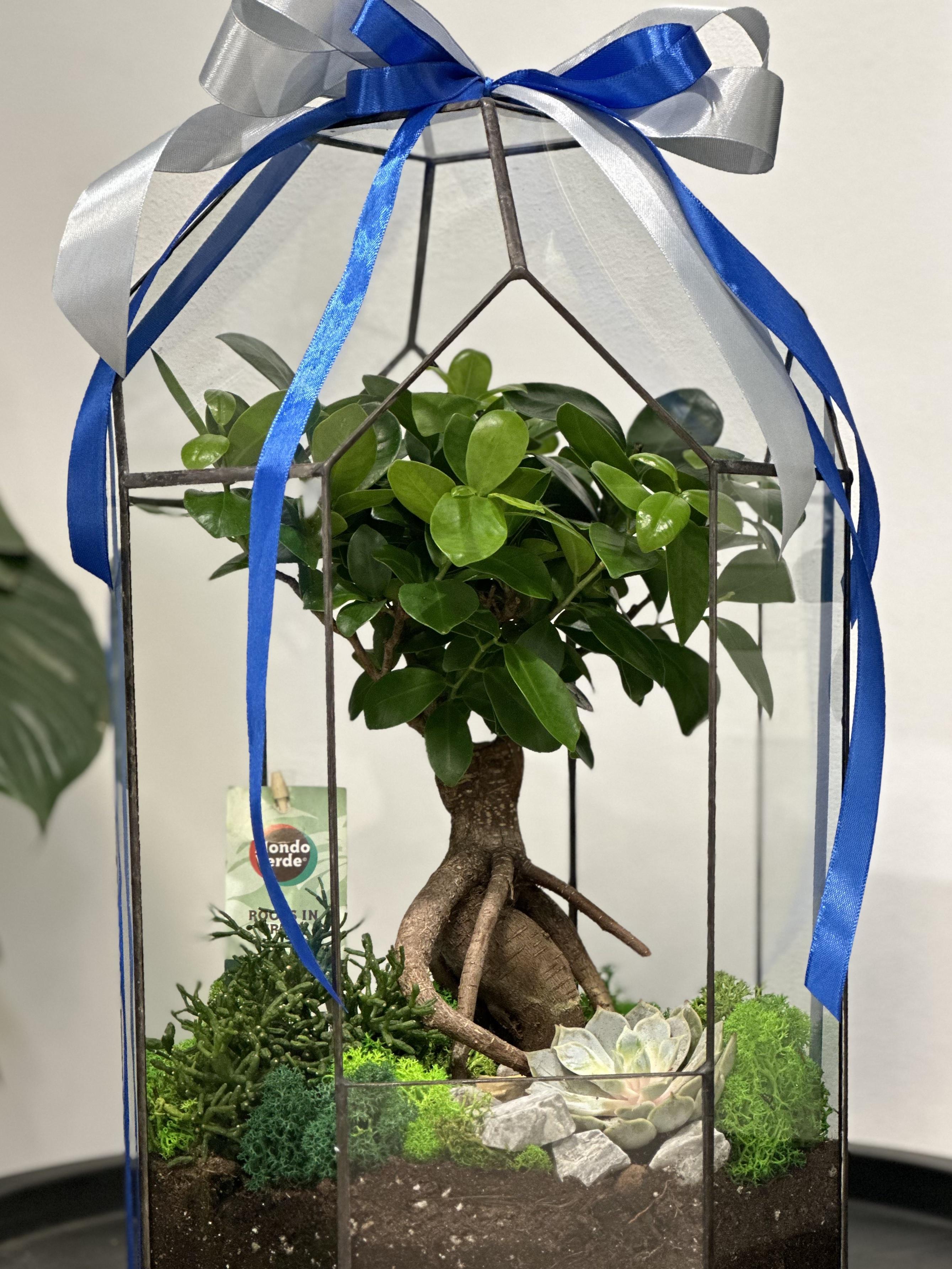 Флораріум Plants room h 43 см (20569269)