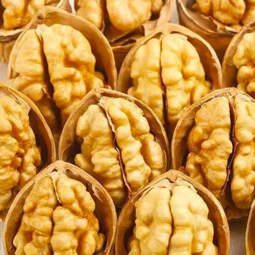 Сажанец Грецкий орех Десертный средний срок созревания (53328)