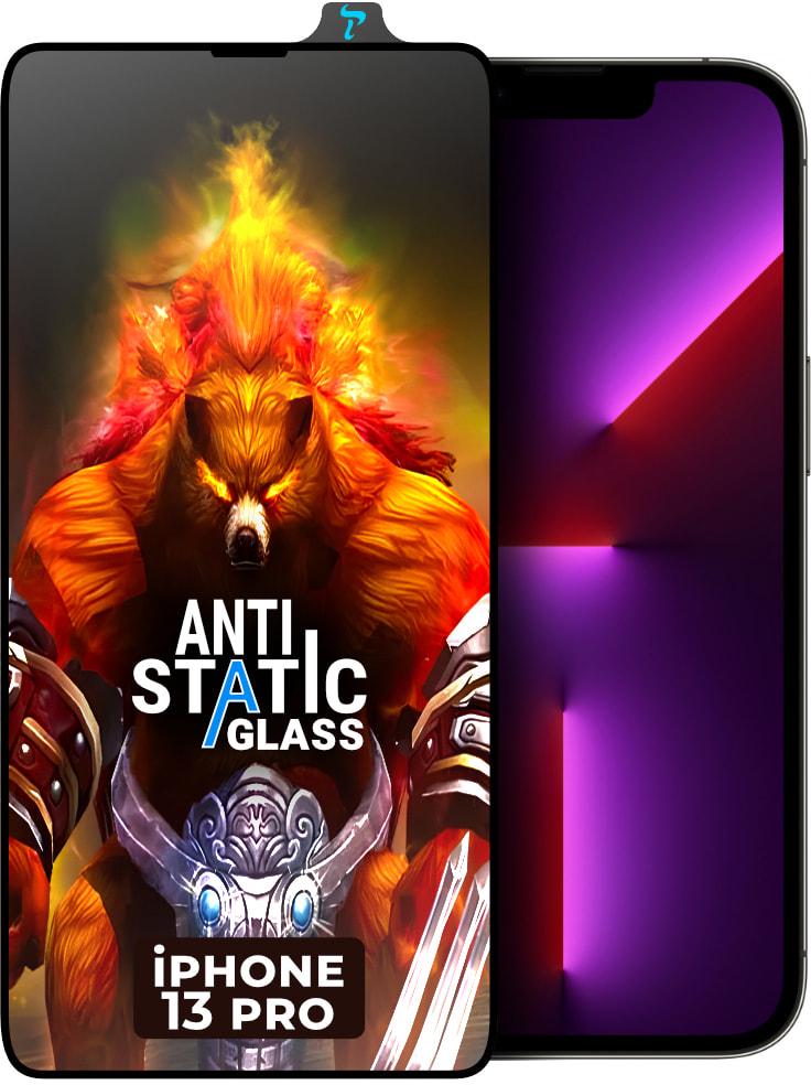 Стекло защитное ESD Antistatic iPhone 13 Pro (34138)