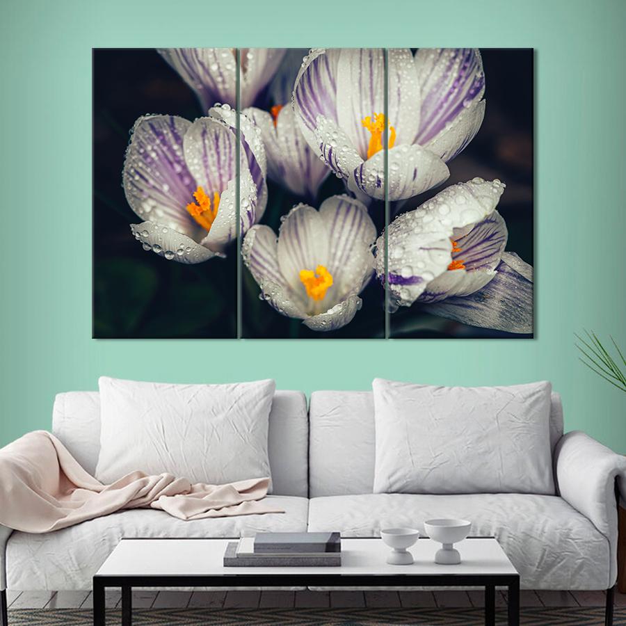 Картина цветы и растения Крокусы в утренней росе 156x100 см (A984-3)