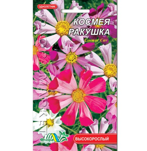 Насіння Космея Ракушка біло-рожевий однорічник високорослий 0,3 г (26291)