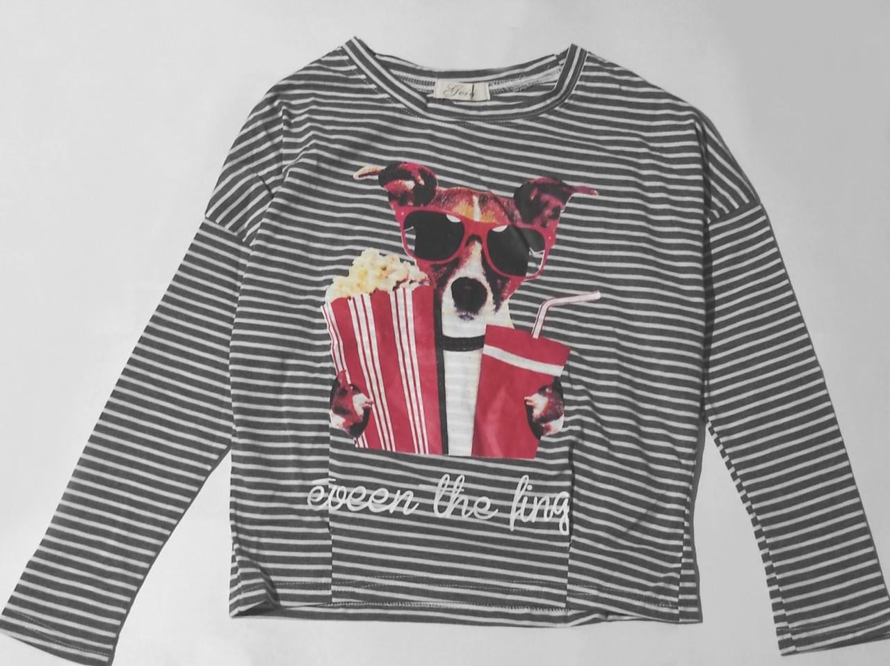 Лонгслів жіночий смугастий з собакою в окулярах S Сірий (51-1143)