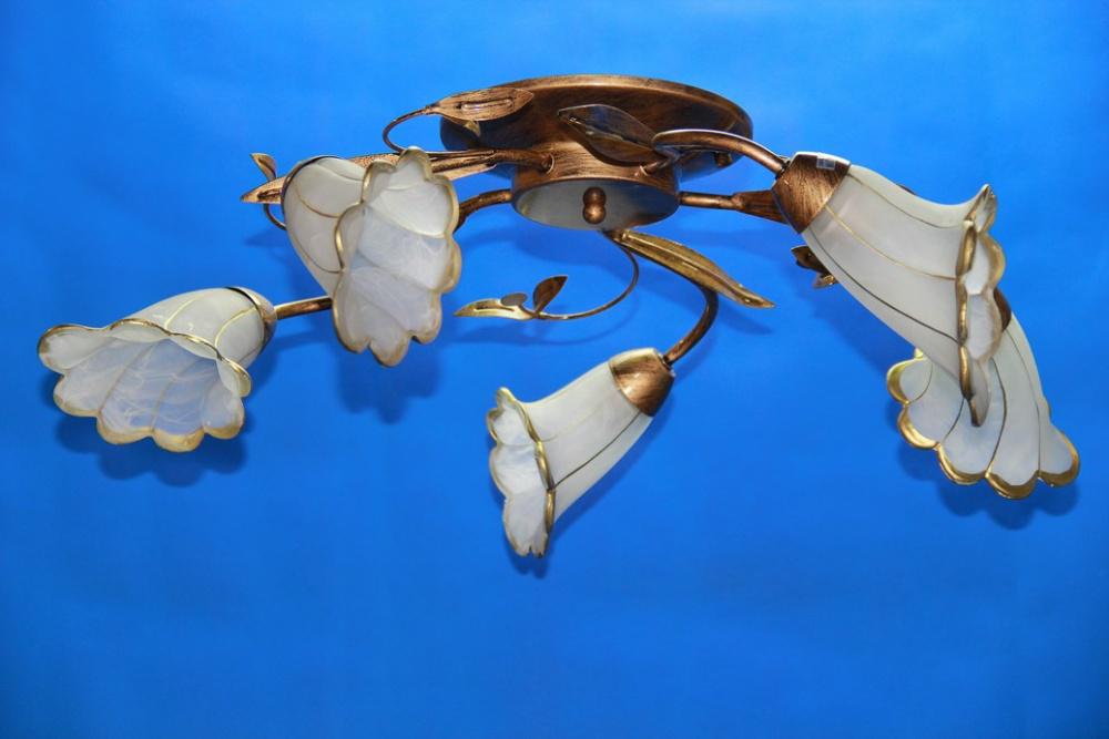 Люстра с плафонами Ray L10007A/5 (IR005857)