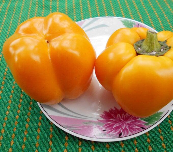 Перець солодкий Золоте Руно 250 шт. (38279026)