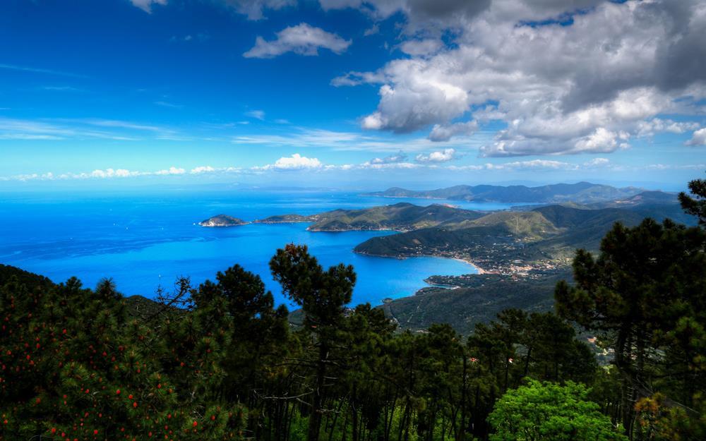 Картина на холсте Природа 35x55 см (N512)