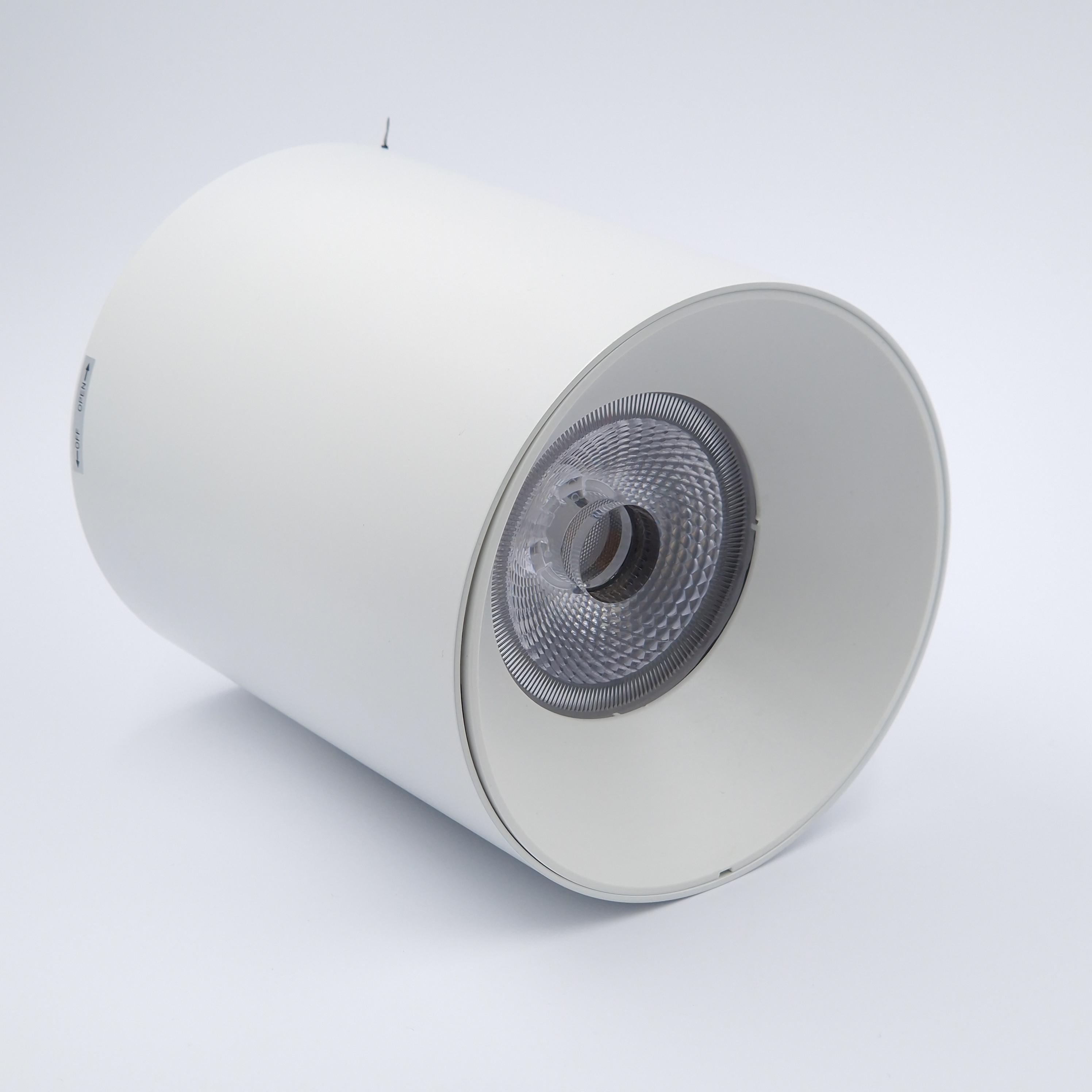 Светильник накладной Light Club 30 Вт 3000 К IP20 Белый (WL-521c-30-3-W) - фото 3 Светильник накладной Light Club 30 Вт 3000 К IP20 Белый (WL-521c-30-3-W) - фото 3