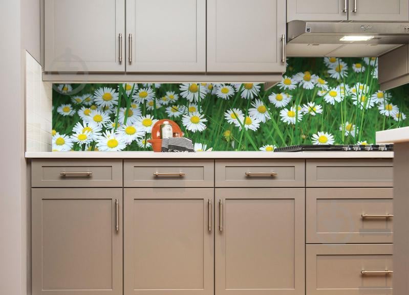 Наклейки кухонный фартук Zatarga " Летние ромашки в траве" 650х2500мм Зеленый (Z180258/1)