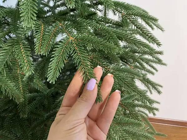 Елка искусственная литая Смерека 1,5 м Зеленый (PR1202) - фото 2 Елка искусственная литая Смерека 1,5 м Зеленый (PR1202) - фото 2