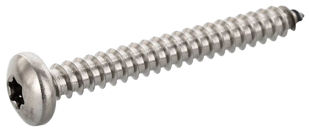 Саморез Steelfix ISO14585 5,5х60 А2 TX25 из нержавеющей стали для металла полукруглый Т 5 шт. (123406)