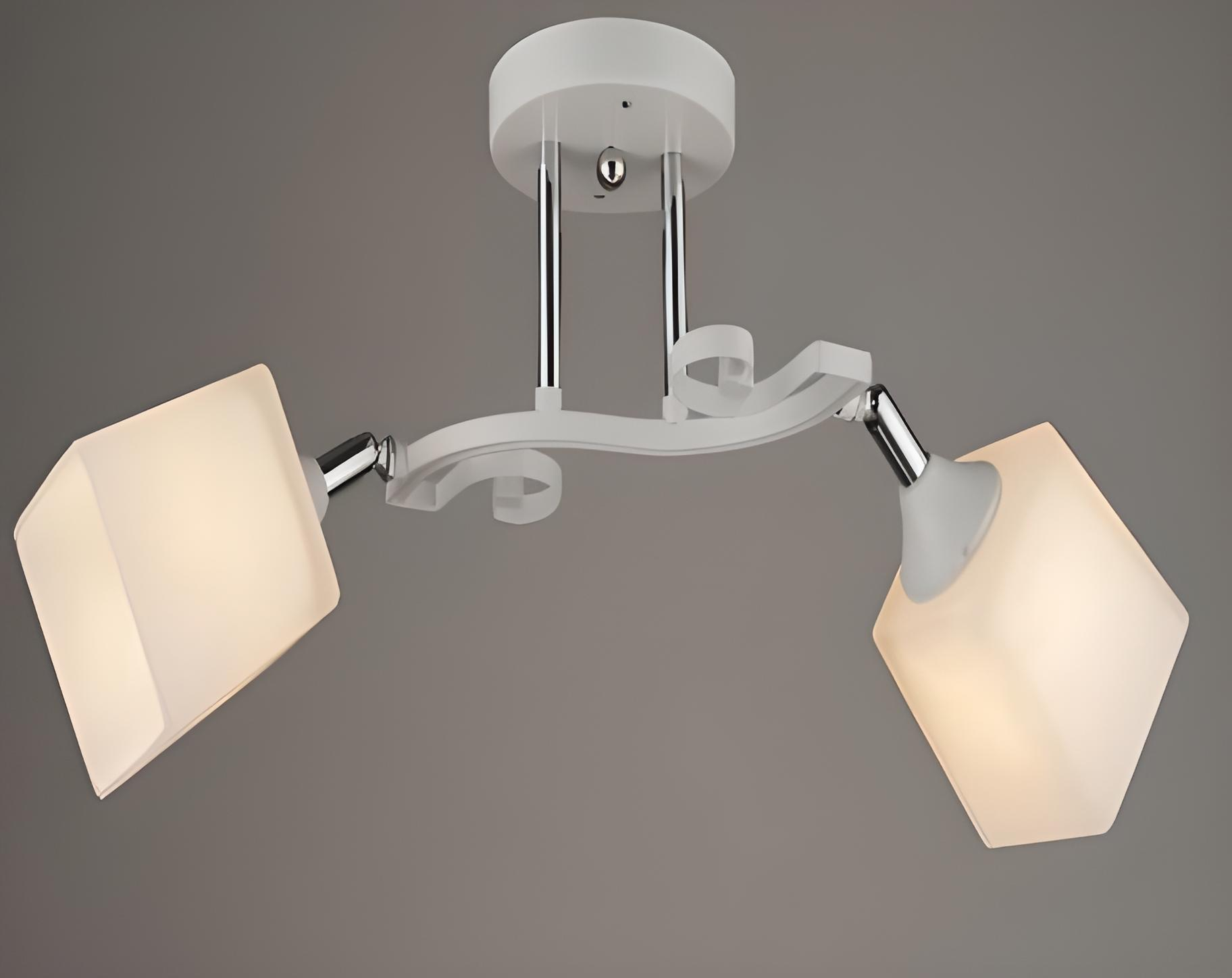 Потолочная люстра Sirius B N3845/2 FG на 2 плафона (000033764)