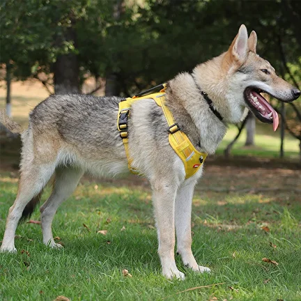 Шлейка анатомическая для собаки C00447-3 со светоотражающими полосами М 7-12,5 кг Желтый - фото 3