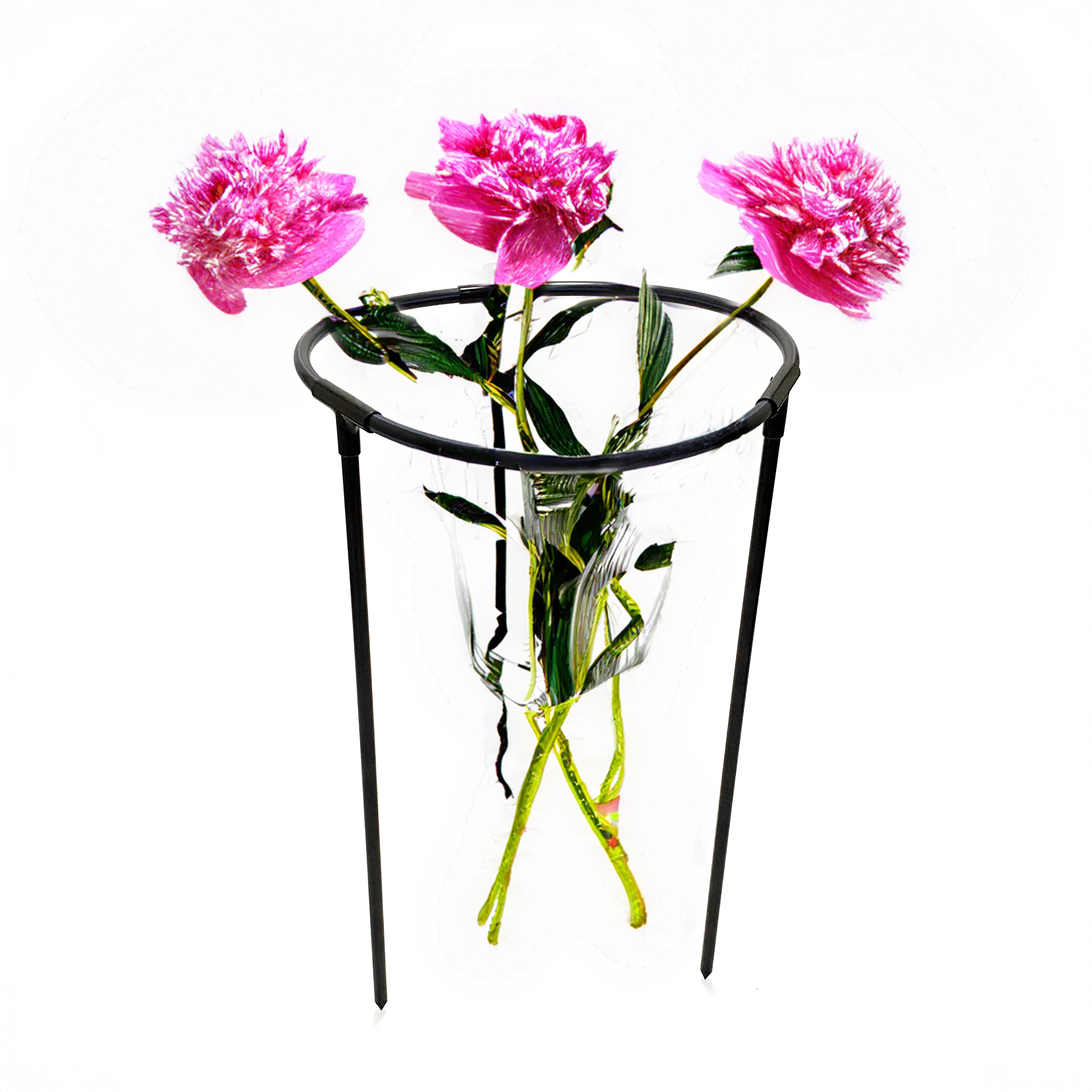 Опора для растений Pivonia кольцевая D50х80 см (17727864) - фото 2 Опора для растений Pivonia кольцевая D50х80 см (17727864) - фото 2