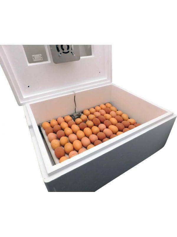 Інкубатор побутовий Несушка-М76 автоматичний 12 В (1292) - фото 5 Інкубатор побутовий Несушка-М76 автоматичний 12 В (1292) - фото 5