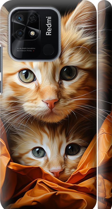 Чехол на Xiaomi Redmi 10C Котики 2 (5664m-2591-42517)