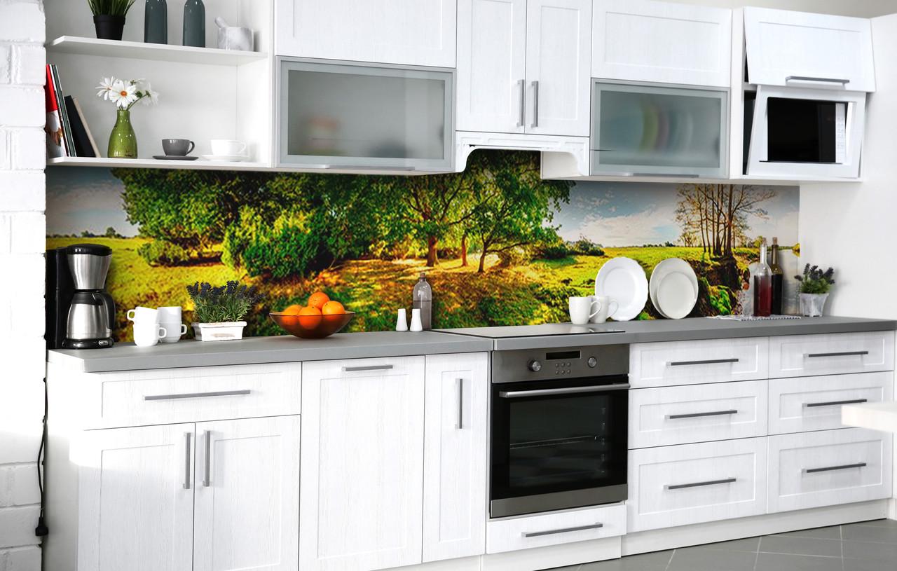 Кухонный фартук Поляна у водоема виниловый самоклеющийся 65х250 см