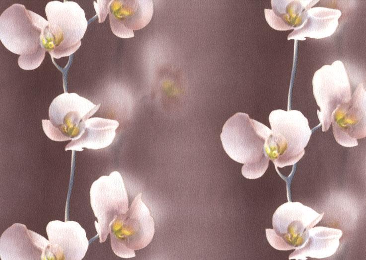 Шпалери паперові New Service 034-08 0,53x10,05 м Коричневий (2000000168685) Шпалери паперові New Service 034-08 0,53x10,05 м Коричневий (2000000168685)