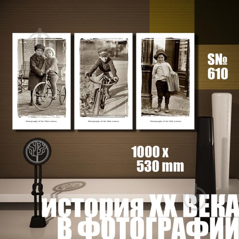 Модульная картина Декор Карпаты история ХХ века: велосипед 100х53см (s610)